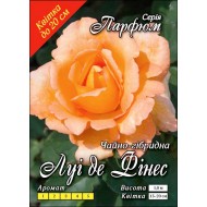 Роза Луи де Финес